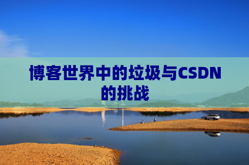 博客世界中的垃圾与CSDN的挑战